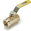 Valve XVP500P-12 